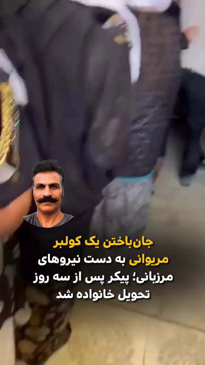 جان باختن مادیح کرمانی کولبر اهل مریوان به دست نیروهای مرزبانی؛ پیکر پس از سه روز تحویل خانواده شد