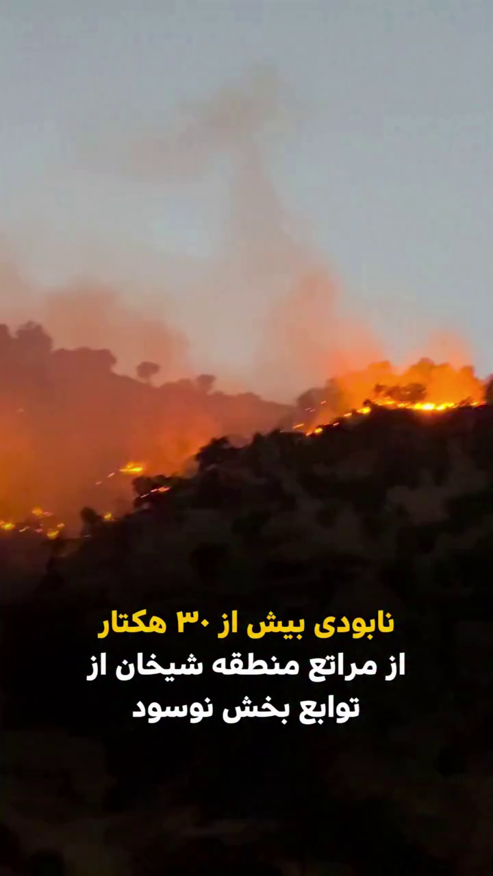 نابودی بیش از ۳۰ هکتار از مراتع منطقه شیخان از توابع بخش نوسود